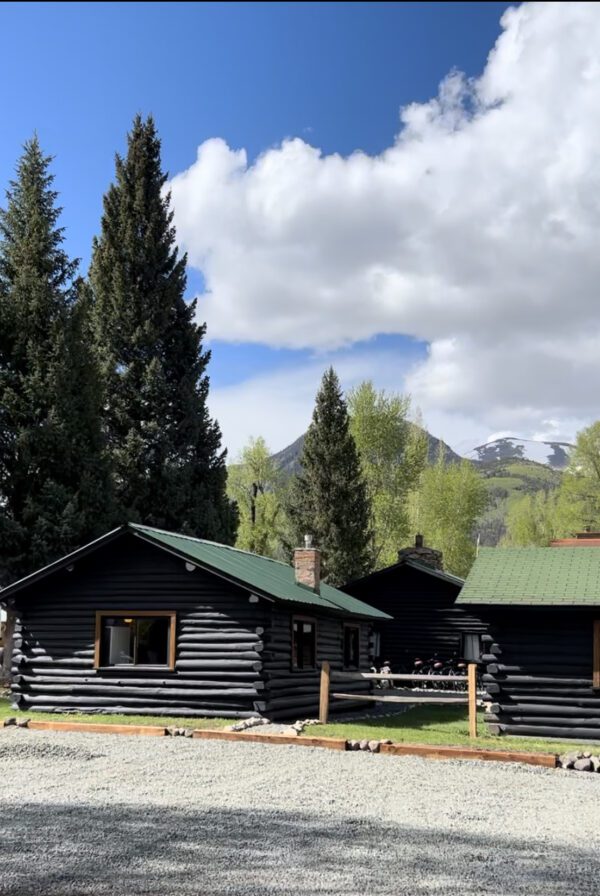 An Alpine Standard Cabin #1 with trees and mountains in the background.