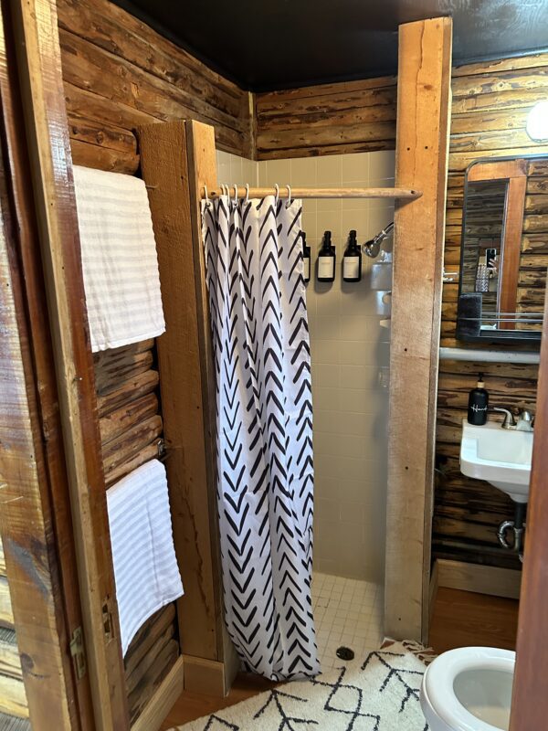 An Alpine Standard Cabin #2 with a shower and toilet in a log cabin.